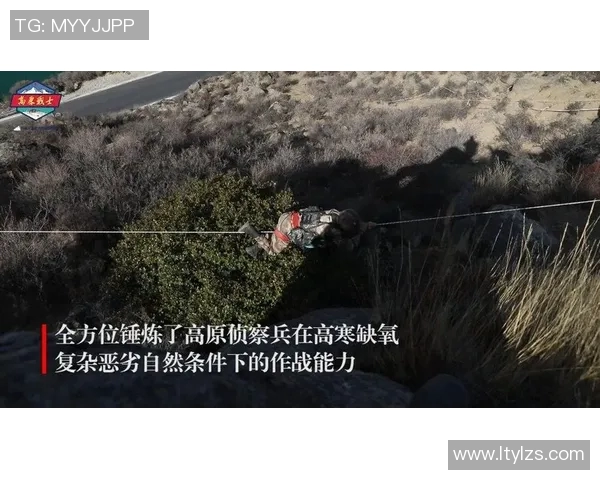 西安极限运动队耐力表现数据分析与训练策略探讨