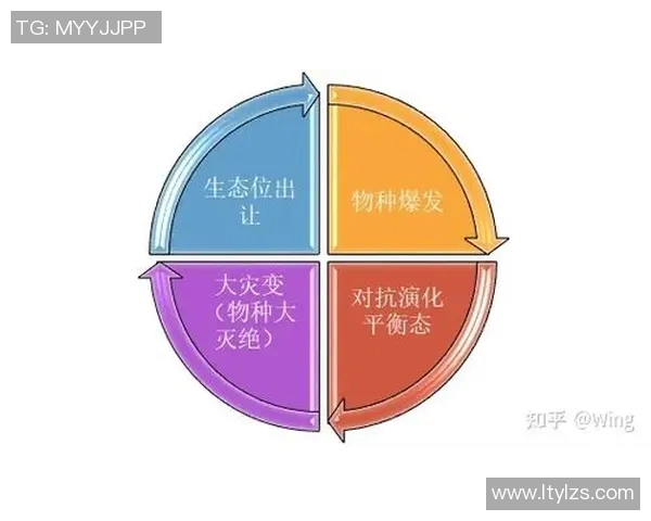 以对抗为核心探索现代社会中的竞争与冲突机制及其对个体与群体行为的影响