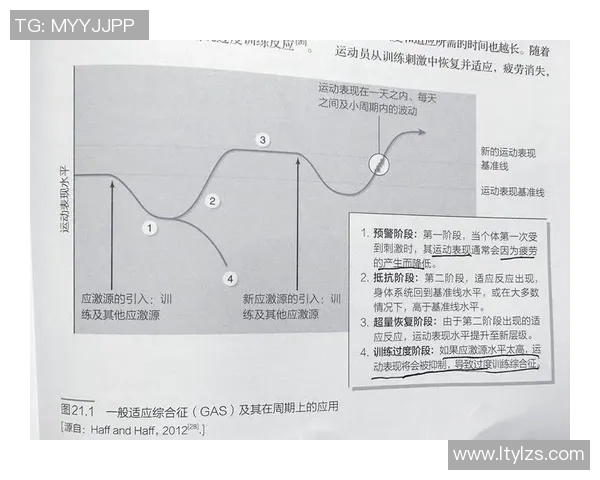 体能测试新标准与评估方法探索：提升运动表现与健康管理的有效路径